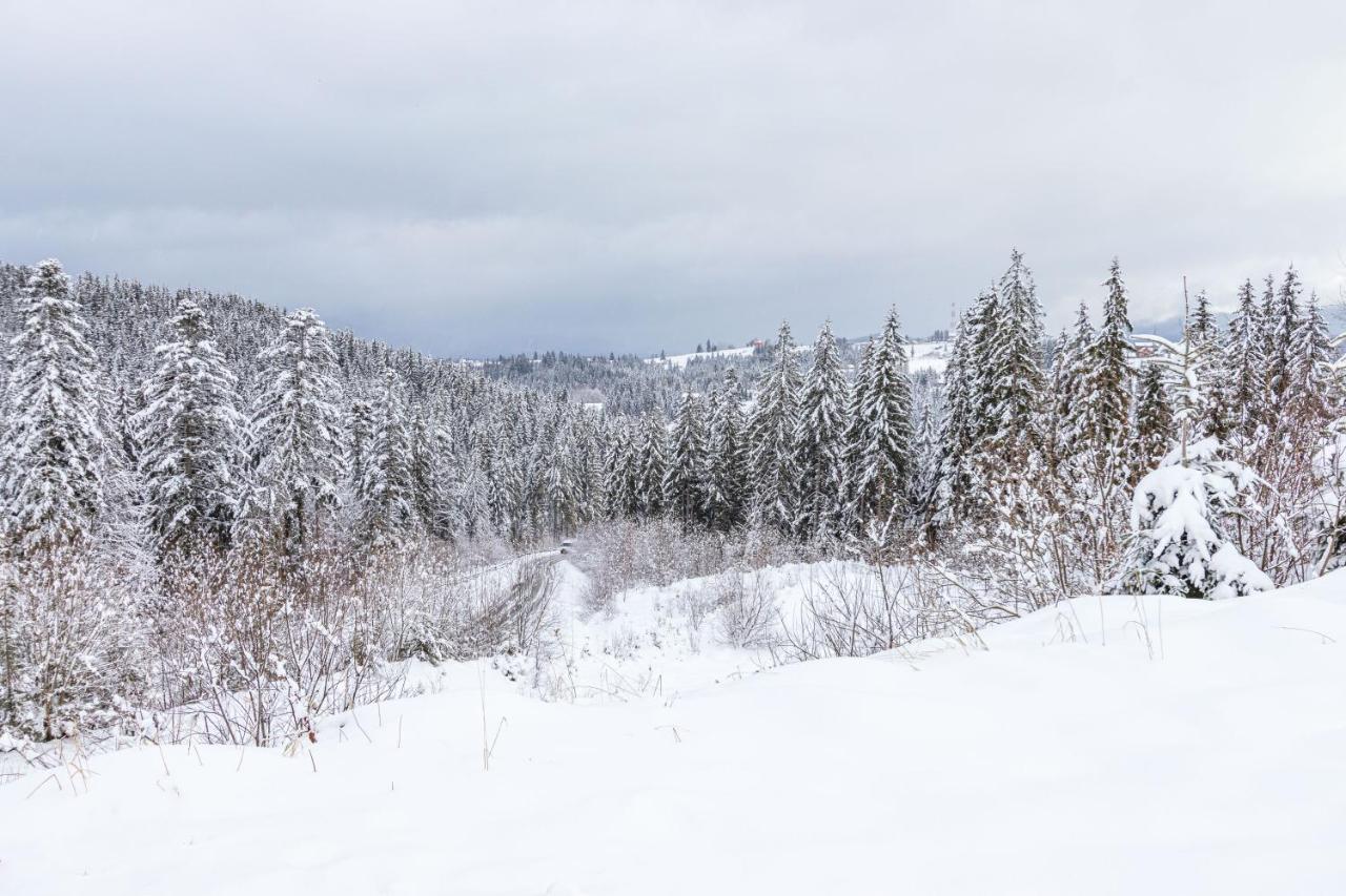 Rich Oak - Готель З Відкритим Панорамний Басейном Yablunytsya Exterior foto